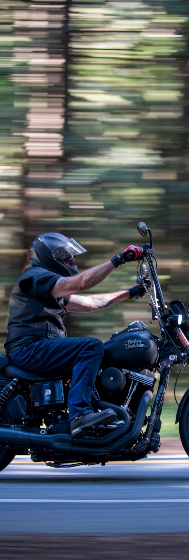 motorcyclist riding past in the woods on a black Harley Davidson